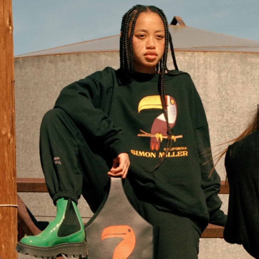 Simon Miller Bird Club Sweatshirt - Picture 4 of 4